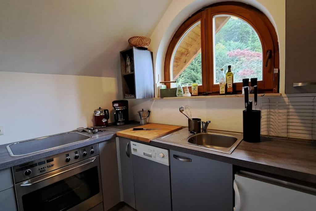 Gemuetliche Waldrandlage In Badenweiler Sehringen Ferienwohnung المظهر الخارجي الصورة