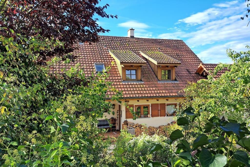 Gemuetliche Waldrandlage In Badenweiler Sehringen Ferienwohnung المظهر الخارجي الصورة