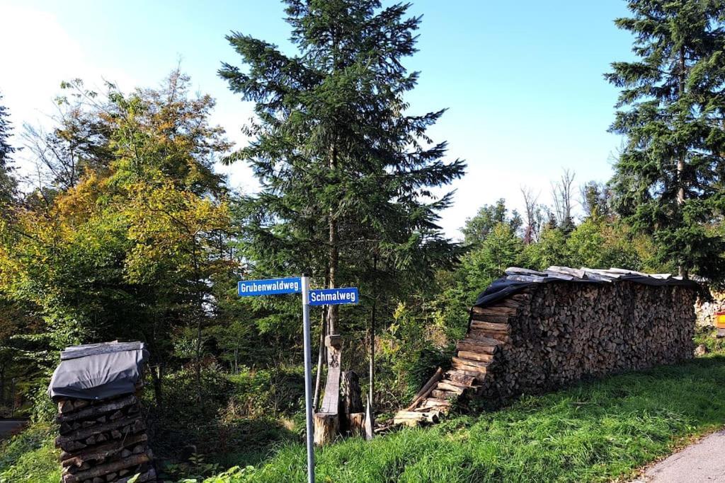 Gemuetliche Waldrandlage In Badenweiler Sehringen Ferienwohnung المظهر الخارجي الصورة