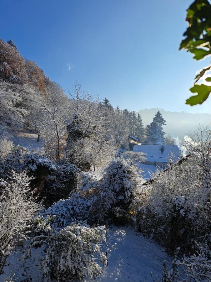 Gemuetliche Waldrandlage In Badenweiler Sehringen Ferienwohnung المظهر الخارجي الصورة